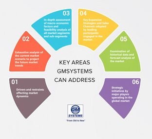 PictureGM SYSTEMS LLC